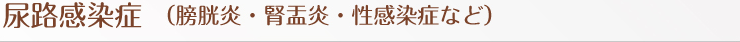 尿路感染症（膀胱炎・腎盂炎・性感染症など）